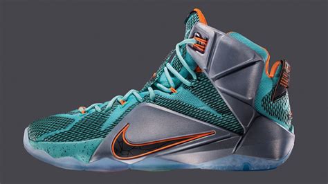 Nike LeBron James shoes